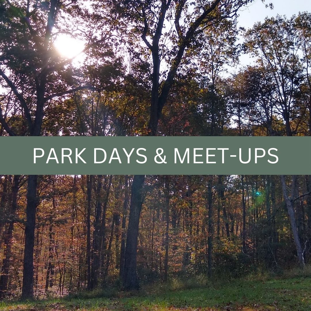 Photo of trees in early autumn with the sun shining through an opening in the upper left corner. Text overlay reads "park days and meet-ups"